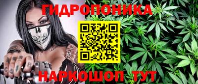 ALPHA PVP Пугачёв