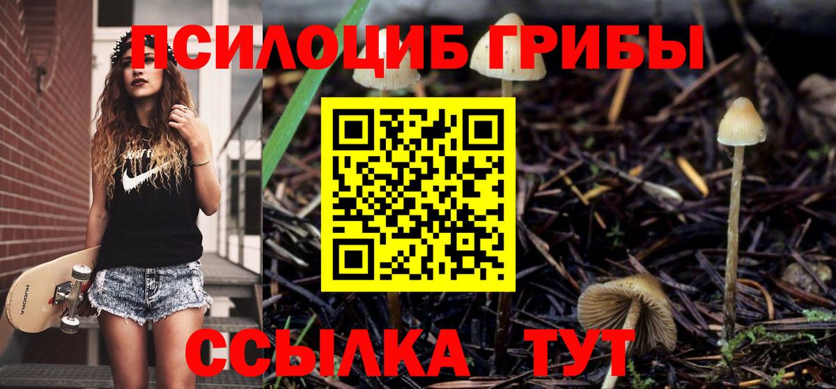 Галлюциногенные грибы мицелий  магазин  наркотиков  Сафоново  Галлюциногенные грибы ЛСД  Вход с VPN 