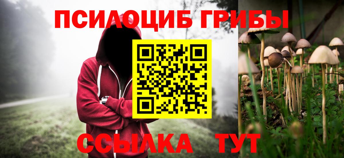 Галлюциногенные грибы MAGIC MUSHROOMS Сафоново